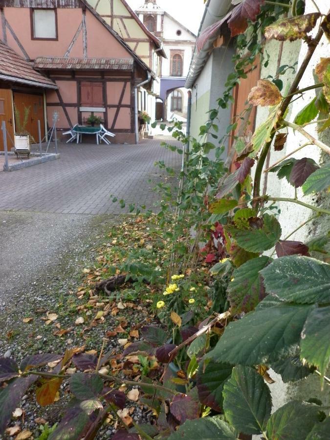 Gites Petermann Marckolsheim Eksteriør billede